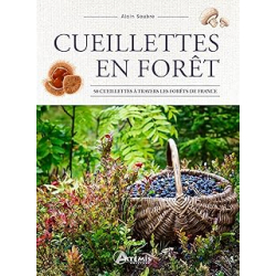Cueillettes en forêt - Soubre Alain