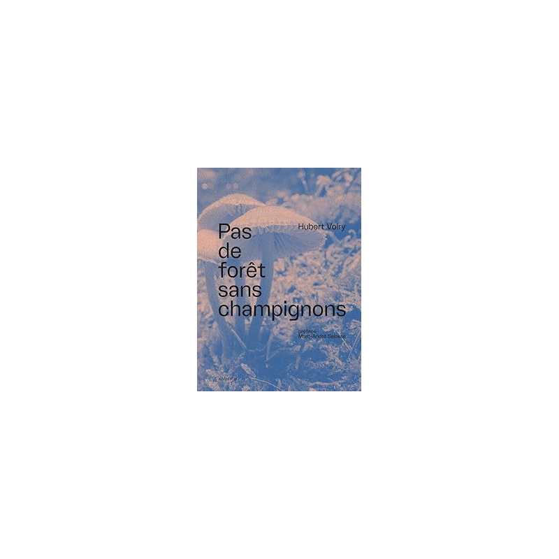 Pas de forêt sans champignons - Voiry/Selosse