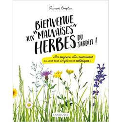 Bienvenue aux mauvaises herbes du jardin : elles soignent, elles nourrissent ou sont tout simplement esthétiques