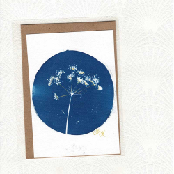 Carte cyanotype Ombelle