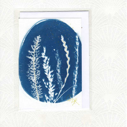 Carte cyanotype Graminées
