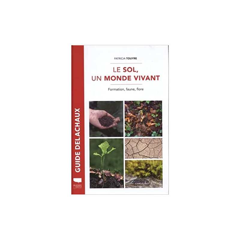 Le Sol, un monde vivant: Formation, faune, flore - Patricia Touyre