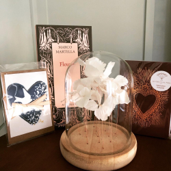 Fleurs "papillons" sous cloche façon cabinet de curiosité