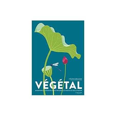 Végétal - Hélène Druvert / Juliette Einhorn