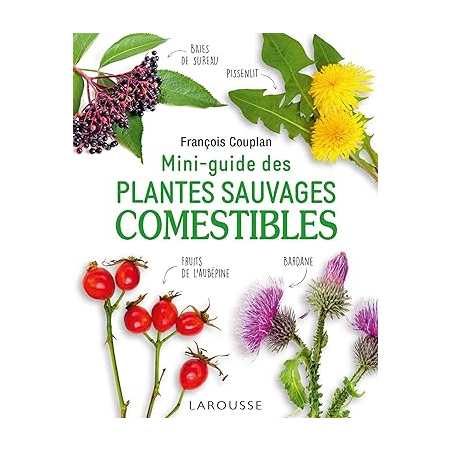 Mini-guide des plantes sauvages comestibles - Guilhem Lesaffre
