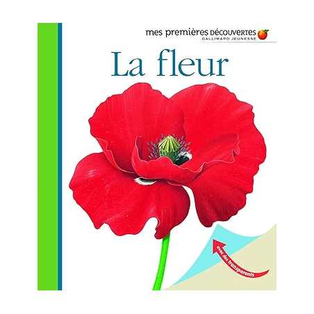 La fleur - Mes premières découvertes - René Mettler