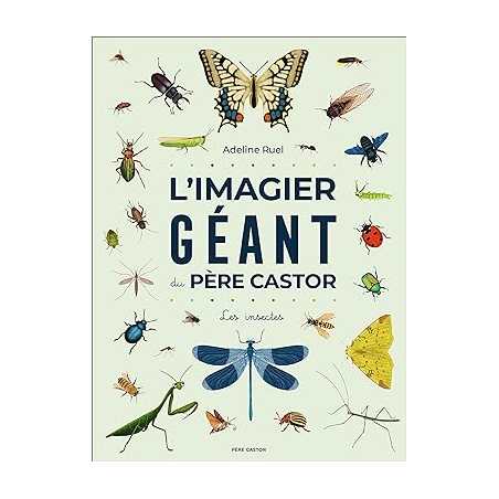 L'Imagier géant du Père Castor: Les insectes - Adeline Ruel