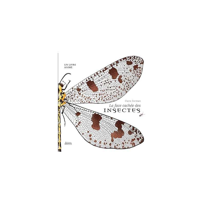 La face cachée des insectes - Clara Corman