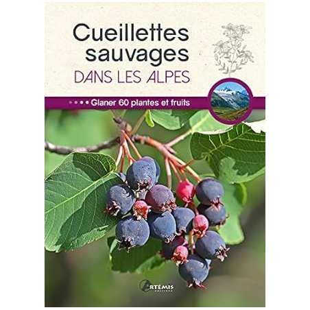Cueillettes sauvages dans les Alpes - Collectif