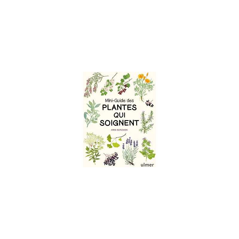 Mini-guide des plantes qui soignent - Borowski Anna