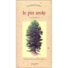 Le pin parasol - Claude Crocq