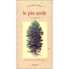 Le pin parasol - Claude Crocq