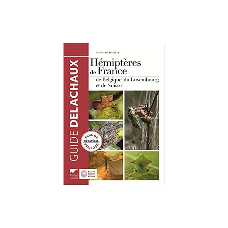 Hémiptères de France de Belgique