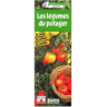 Les Légumes du potager : Le Semis